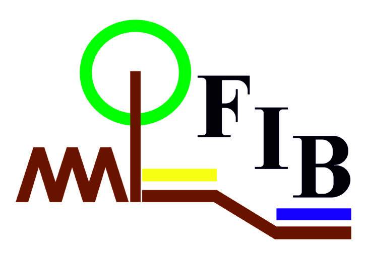 Logo_cmyk_FIB